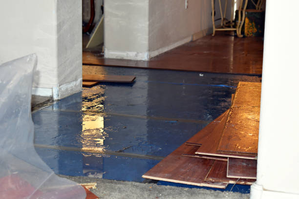 Professional Basement Flood Cleanup technician working in Zion, IL